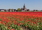 2018-05-04 13-01-21 0015 Bloembollenvelden Hillegom