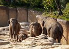 2018-09-29 11-56-46 0001 Dierentuin Wildlands Emmen