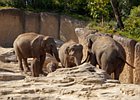 2018-09-29 11-57-15 0002 Dierentuin Wildlands Emmen