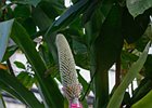 2018-09-29 12-16-00 0023 Dierentuin Wildlands Emmen