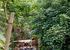 2018-09-29 12-46-24 0027 Dierentuin Wildlands Emmen