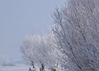 2012-02-04 10-25-20 0033 Kinderdijk, Winter 2012