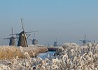 2009-01-10 11-29-44 0004 Molens van Kinderdijk in de Winter