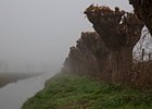 2019-03-22 09-42-24 001
