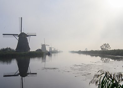 Mist