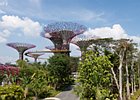 2012-10-28 08-03-27 0097 Gardens by the Bay