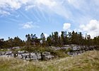 2015-06-13 14-45-33 0071 Ards Forest Park