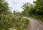 2015-06-13 15-25-07 0094 Ards Forest Park