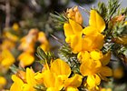 2015-06-11 12-10-51 0014 Glenveagh National Park & Castle