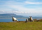 2015-06-09 18-25-50 0174 Stroove Lighthouse, Dunnagree, Inishowen Head
