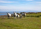 2015-06-09 18-26-26 0176 Stroove Lighthouse, Dunnagree, Inishowen Head