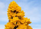 2015-06-15 12-06-24 0009 Beaghmore Stone Circels
