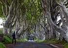 2015-06-06 12-03-48 0007 Dark Hedges