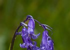 2015-06-05 12-20-57 0011 Glenariff Waterfalls & Forest Park