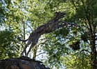 2015-06-08 18-01-41 0122 Roe Valley Country Park