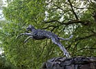 2015-06-08 19-42-33 0189 Roe Valley Country Park