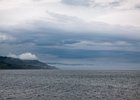 2015-06-04 14-58-55 0059 Whitehead