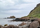 2015-06-04 14-59-59 0069 Whitehead
