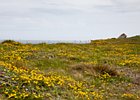 2015-06-04 15-17-59 0066 Whitehead