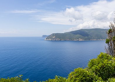 Capo di Stella