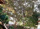 2013-09-27 16-15-58 0002 Spili