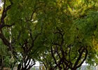 2016-06-22 12-29-24 012 Funchal, Madeira