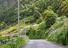2016-06-19 12-27-35 052 Ponta Delgada, Madeira