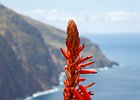 2016-06-16 14-10-03 045 Ponta do Pargo, Madeira
