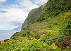 2016-06-17 18-46-34 155 Porto Moniz, Madeira