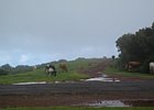 2016-06-17 12-25-14 004 Rabacal, Madeira