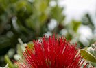 2016-06-18 12-50-54 021 Seixal, Madeira