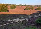 2019-08-25 08-36-46 0023 Posbank Veluwezoom