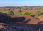 2019-08-25 09-09-29 0043-Pano Posbank Veluwezoom