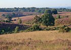 2019-08-25 09-26-31 0061 Posbank Veluwezoom