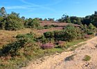 2019-08-25 09-50-11 0071 Posbank Veluwezoom